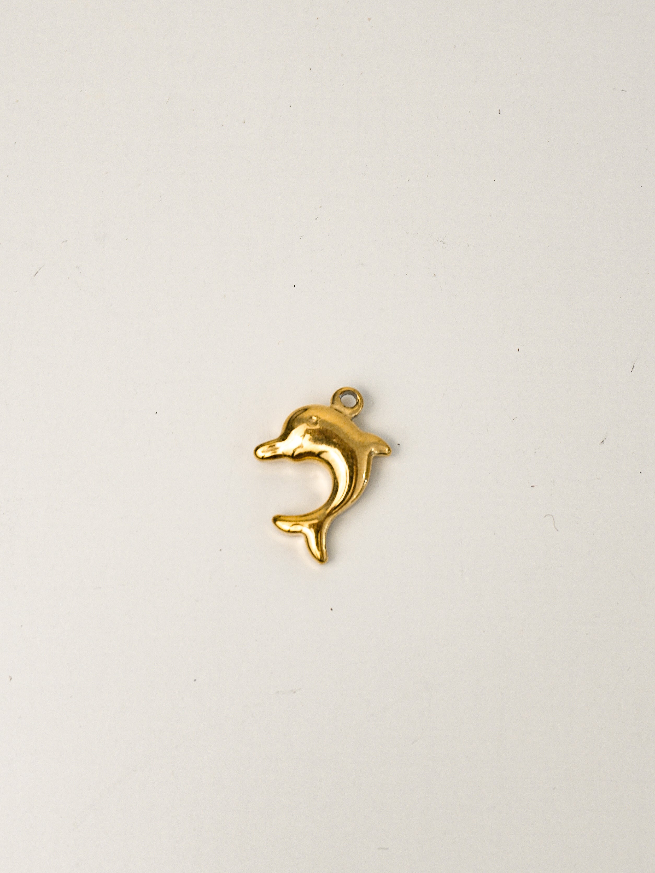 Dolphin